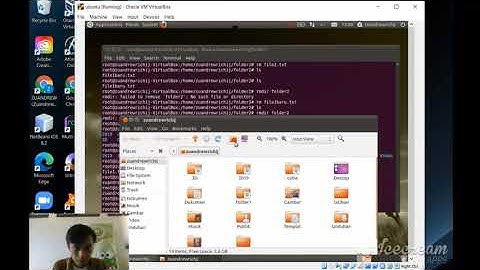 Perintah Dasar dan Manajemen Folder Linux Ubuntu