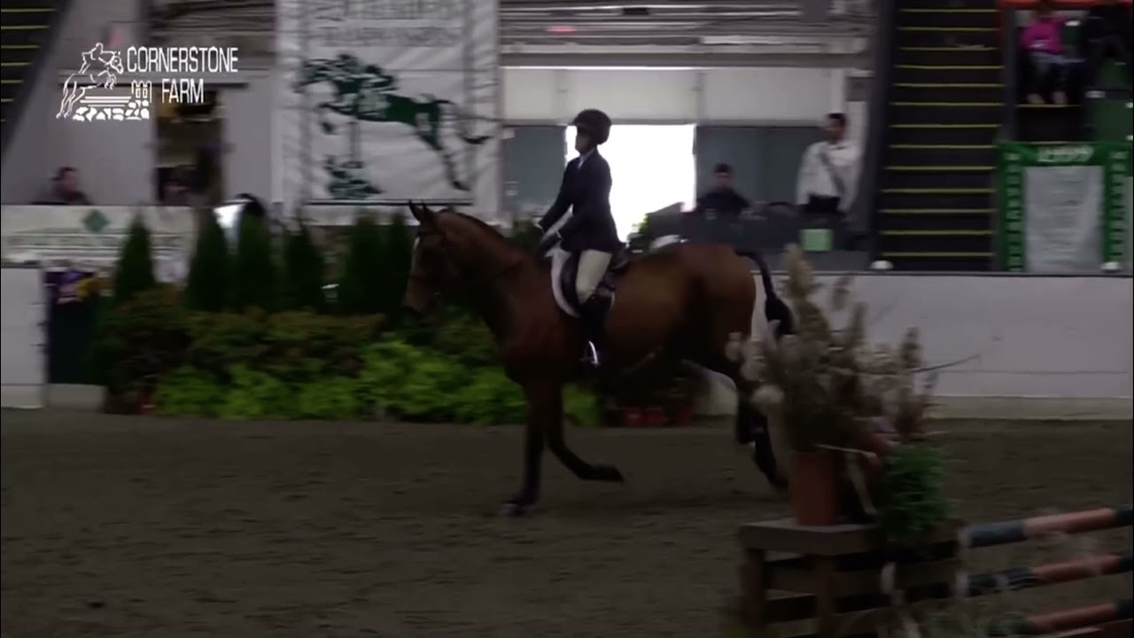 Ella Witt and Stakkair USHJA 3”3 hunter seat medal finals second