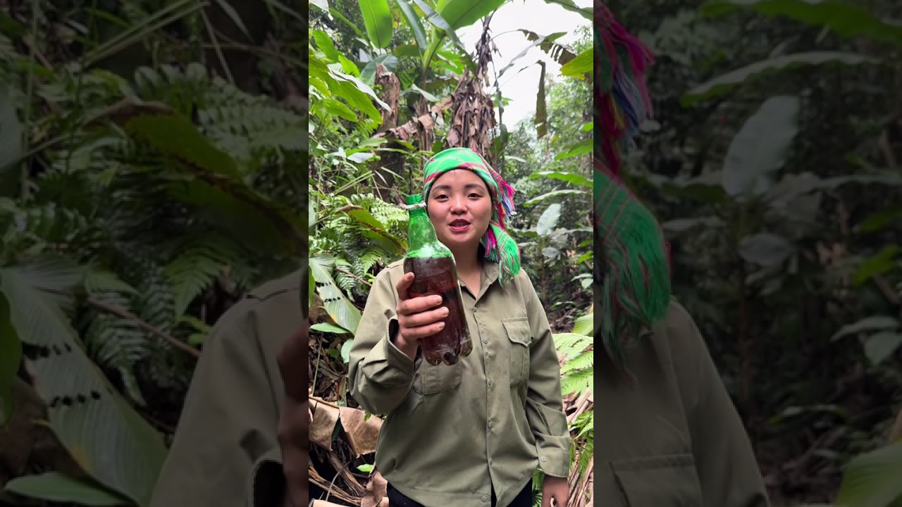 ĐI HÁI LÁ RONG RỪNG BÁN #giaddinh #food #giadinh #amthuc #cooking #monngon