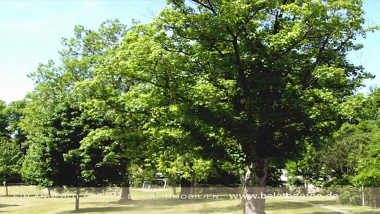 Bel Étage Immobilien Schloss Neuhof