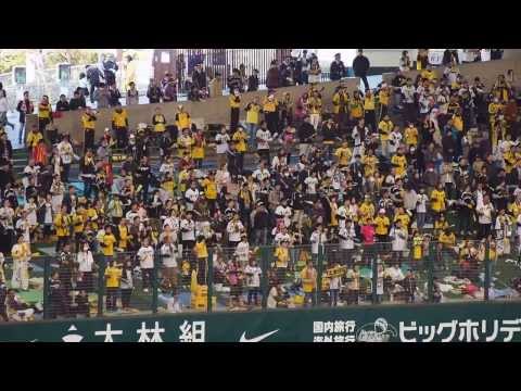 2014.3.16 埼玉西武対阪神 西武ドームビジター側でのタイガースファンたち
