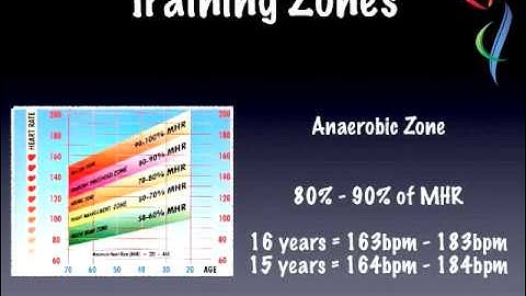 51   Training Zones