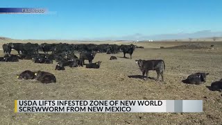 New World screwworm infested zone lifted in New Mexico
