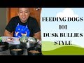 DOG FEEDING 101 - DUSK BULLIES PINOY STYLE