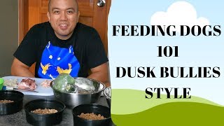 DOG FEEDING 101  DUSK BULLIES PINOY STYLE