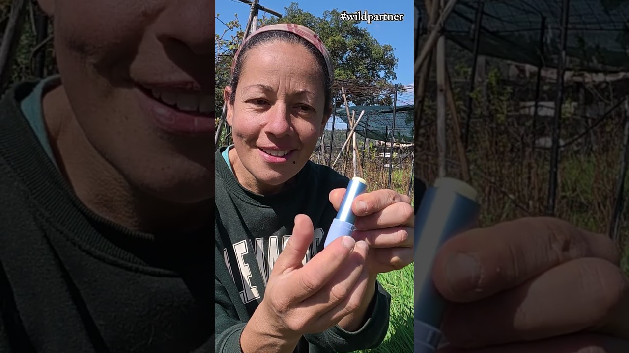 Our favourite refillable and planet-friendly products from WILD #wild  #ecofriendly