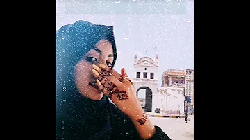 ابو بكر سالم سلم ولو حتى بكفك اشاره 
