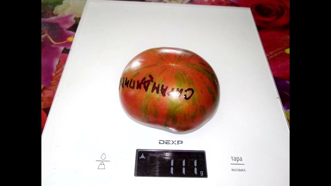 Гном томатный Сарандипити Dwarf Sarandipity