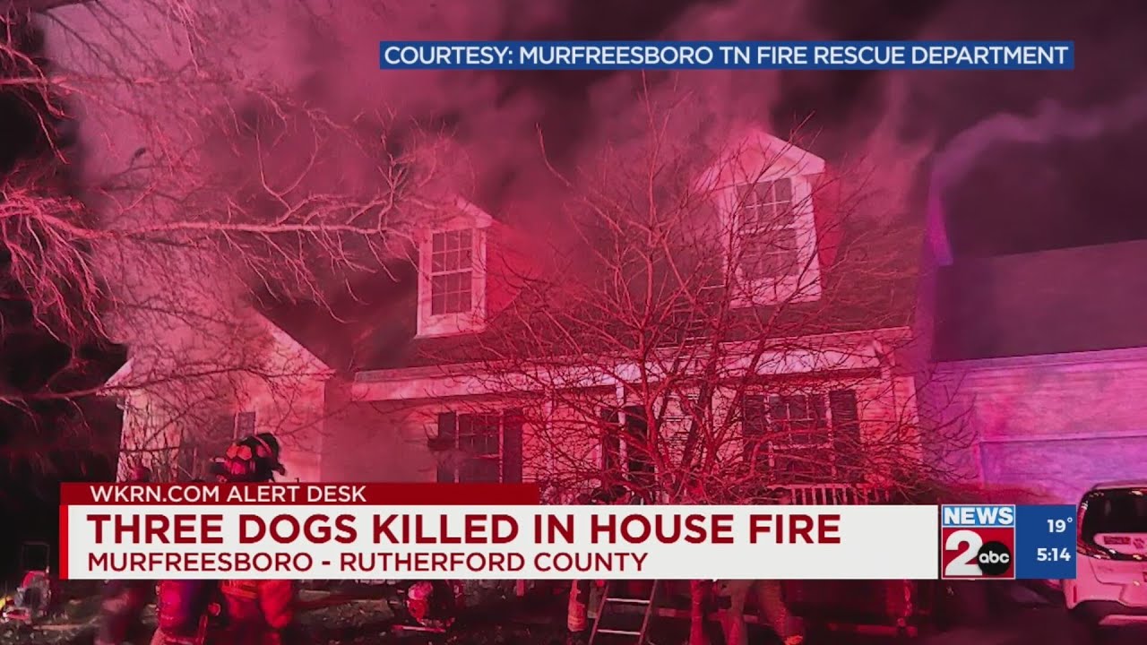 3 dogs killed in Murfreesboro house fire - YouTube