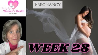 Pregnancy Week 28 Your Baby, Your Symptoms And What To Expect At Your Prenatal Appointment