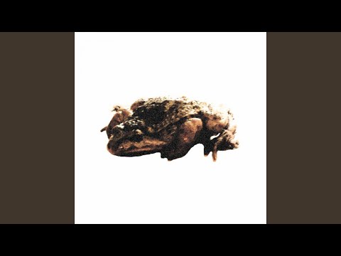 Ver Focus en YouTube Ver Focus en YouTube