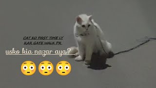 Cat ho gayi pareshan 😐| angry cat😀