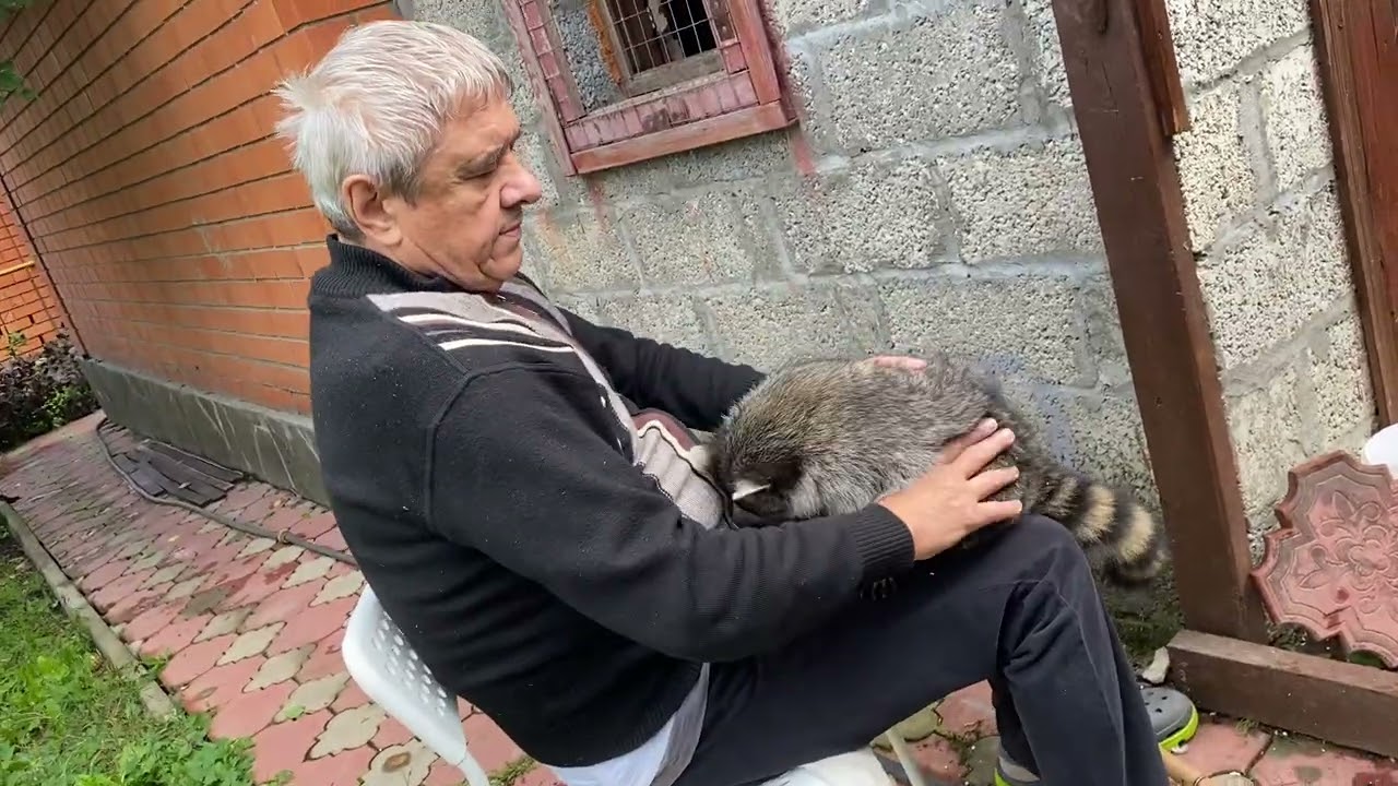 Наша Зося гимнастка.