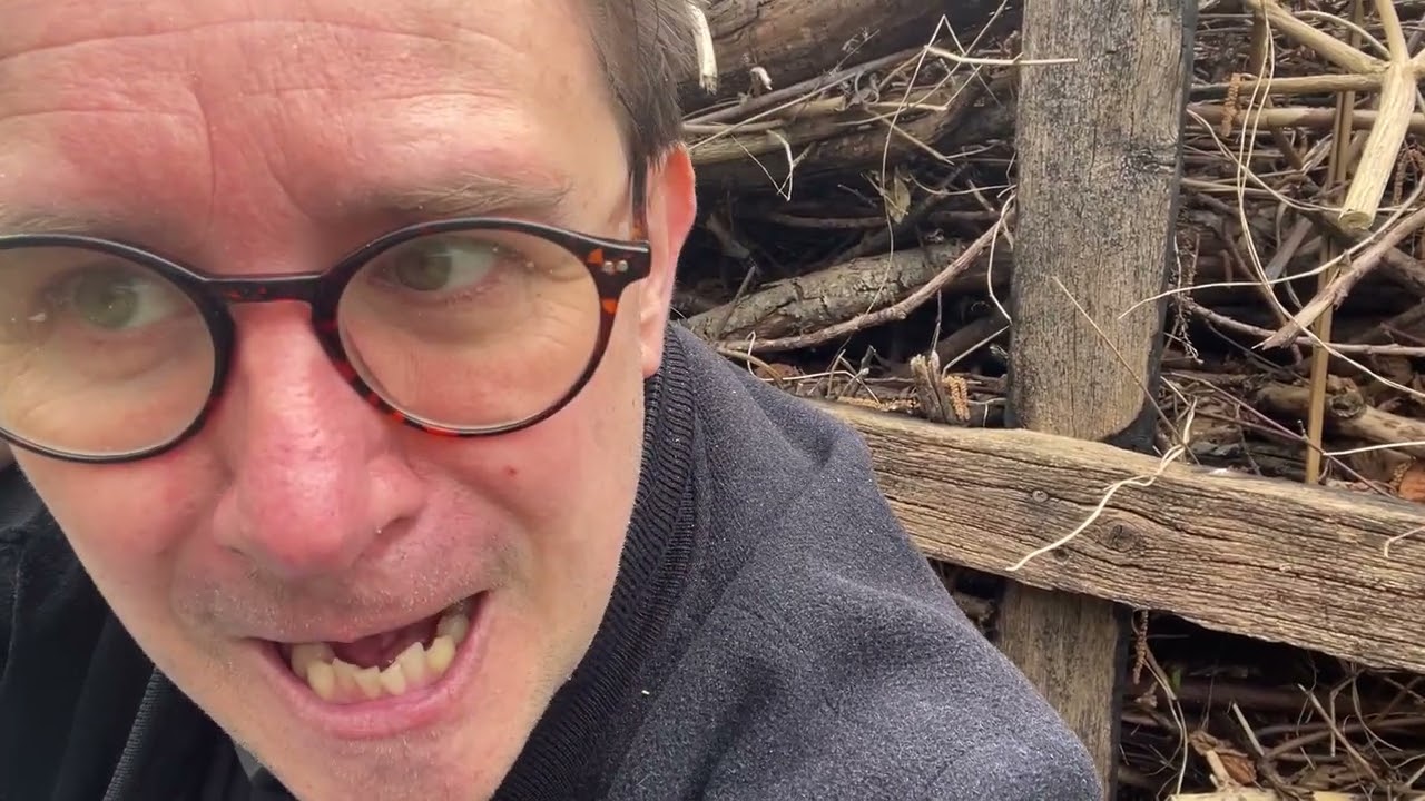 Day 55 of walking from London to New Zealand.