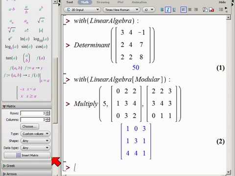Matrizen über endlichen Körpern in Maple