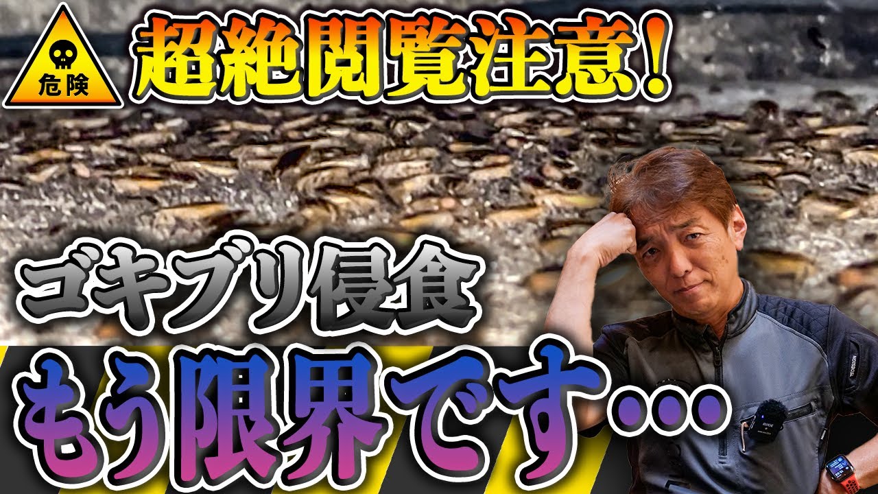 【ゴキブリ大量発生】壁一面の巨大な巣【チャバネゴキブリ】【害虫駆除】【クリーンライフ】 YouTube 【ゴキブリ大量発生】壁一面の巨大な巣【チャバネゴキブリ】【害虫駆除】【クリーンライフ】 YouTube