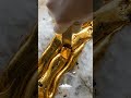 Mechanical Liberation: The Most Satisfying Deep-Vein Extraction Ever! ✨🧤