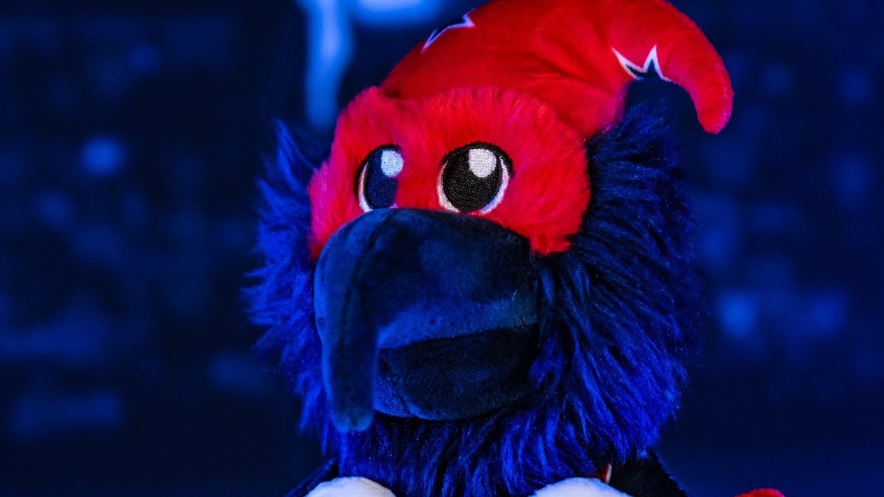 Washington Wizards G-Wiz 10 Mascot Plush Figure in 2023