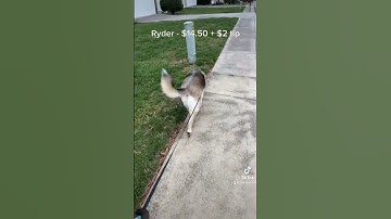 Walk some dogs with me on Wag!