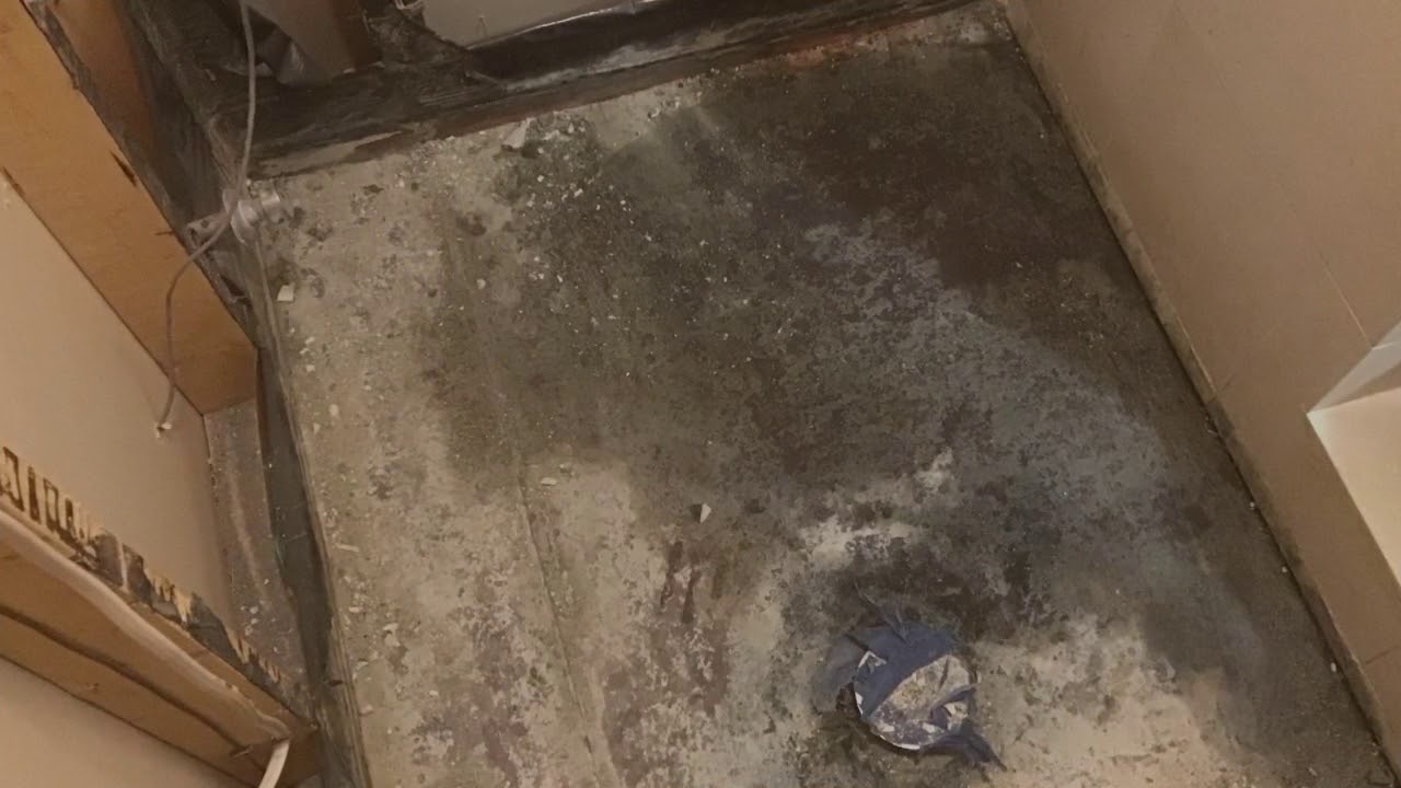 Bathroom Mold Removal YouTube