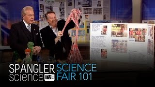 Science Fair 101 - Project Ideas