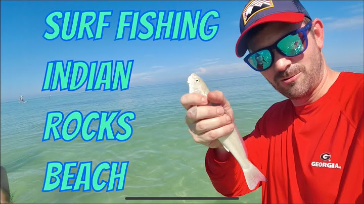 Deep sea fishing indian shores fl