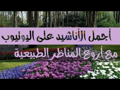 اناشيد اسلامية بدون موسيقى مع مناظر طبيعية