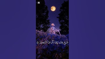 سبحان الله و بحمده سبحان ربي العظيم #قران_كريم #تلاوة_خاشعة #قرآن #الصلاة_على_النبي