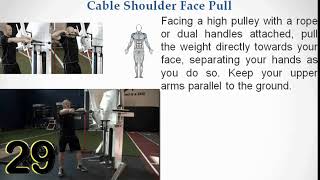 115 29 HC Shoulder Face Pull