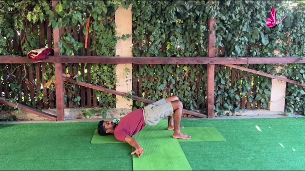 Supine Pose (Supta Asana) | Santosa yoga School