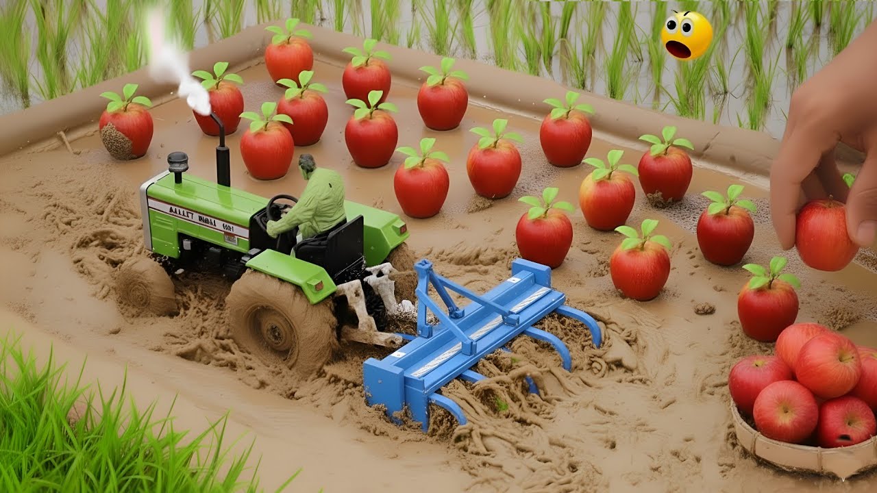 Top Most Creative Scientific Idea | Mini Tractor Is Plowing For The Cultivation Of Apples Farming 