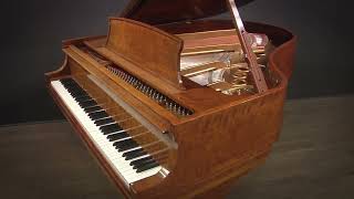Steinway Model M 57 Grand Piano Crown Jewel Walnut (#543776)
Rare and lovely Crown Jewel Walnut finish. Rich and nuanced tone, responsive action. Crafted in New York in 1998, privately owned.
Buy now at https://cpno.us/ayka
Nationwide Delivery: Our specialty, safe and affordable.
Financing available.
Caruso Piano Gallery
New Englands Piano Destination :: Since 1929.
Meet the Team :: http://youtu.be/6cEIzesm-5I
http://carusopianos.com
800-264-6614
info@carusopianos.com Steinway Model M 57 Grand Piano Crown Jewel Walnut (#543776)