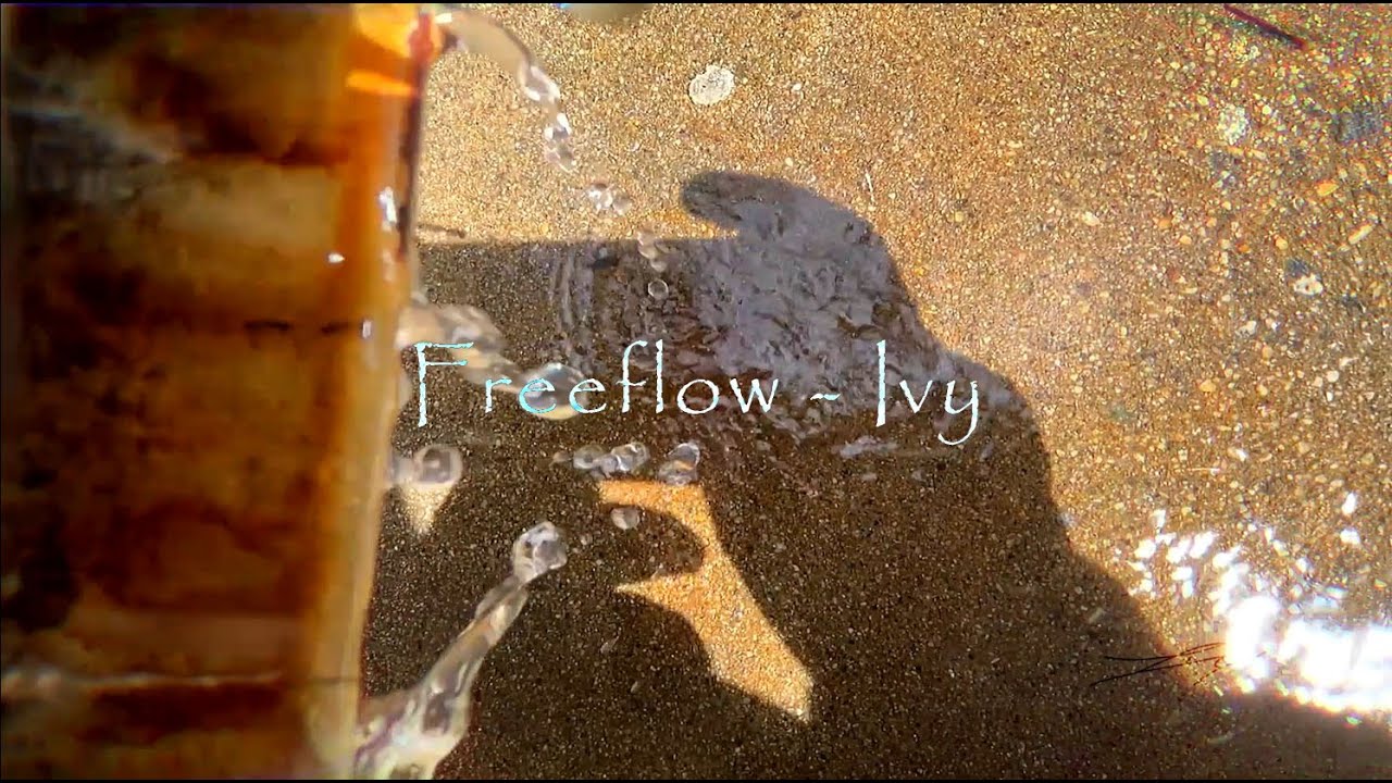 Freeflow - Ivy: Final Project VP