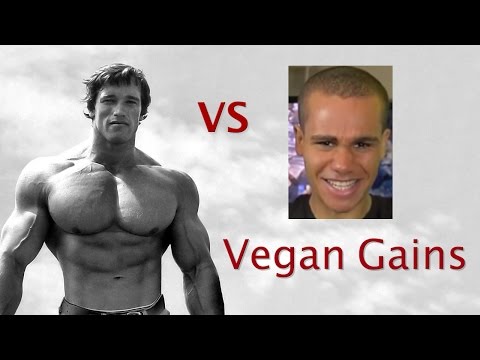 Vegan Gains vs The Bodybuilding Community