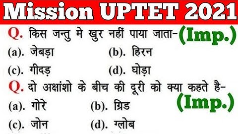 UPTET 2021 || Junior Super TET EVS Most Important Questions || Super TET