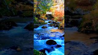 surah fussilat ayat urdu translation #alquran #kareem #islam