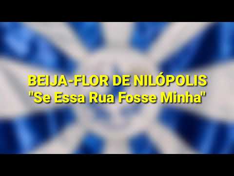 Beija-Flor de Nilópolis 2020 (LETRA E SAMBA)