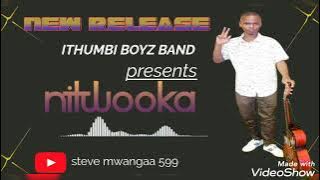 NITWOOKA (OFFICIAL AUDIO ) BY STEVE MWANGAA, ITHUMBI BOYS BAND.
