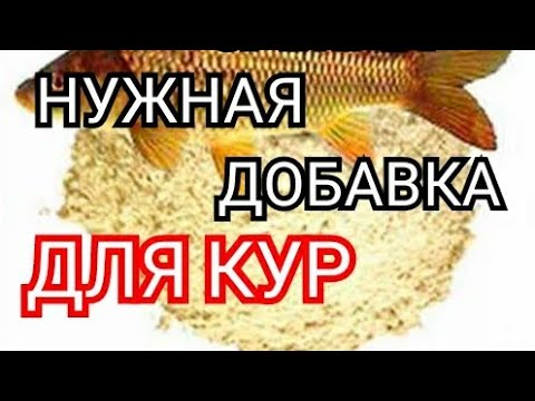 #влог//Всегда 100% Яйценоскость!//Что Лучше для Кур Несушек Рыбная Мука ...