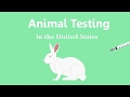 Animated Infographic - Animal Testing in the United States