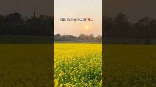 Farhan akhtar poetry . #poetry #poetrystatus #lonely #farhanakhtar #znmd