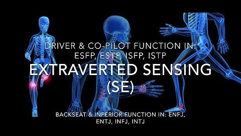 Extraverted Sensing (Se) in Action || MBTI COGNITIVE FUNCTIONS SERIES
