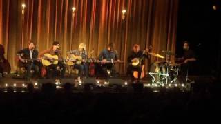 Common Linnets Antwerp may 20 2016