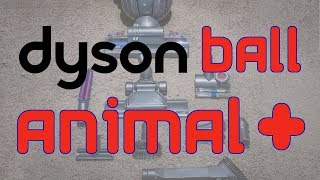 Costco Dyson Ball Animal+ Rapid Review & Unboxing
