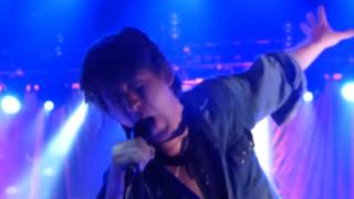 The Last Shadow Puppets- Moonage Daydream Multicam