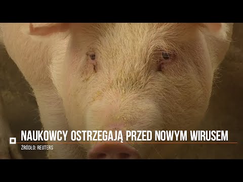 Wideo: Amerykańscy Naukowcy Ostrzegają Przed Epidemią Robaków Mózgowych Powodujących Paraliż - Alternatywny Widok