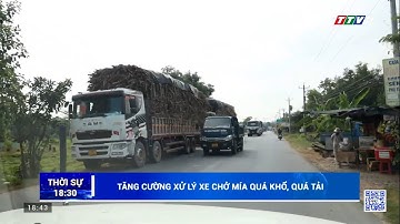 Công an Tây Ninh tăng cường xử lý xe quá khổ, quá tải | TayNinhTV