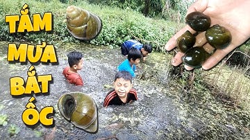 Tony | Thử Thách Bắt Ốc Dưới Mưa - Catching Snail In Rain