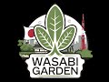 Live WG Wah ada Crafting ilegal nih #Stellaris #day25 #mediashareon #2025 #games #wasabigarden
