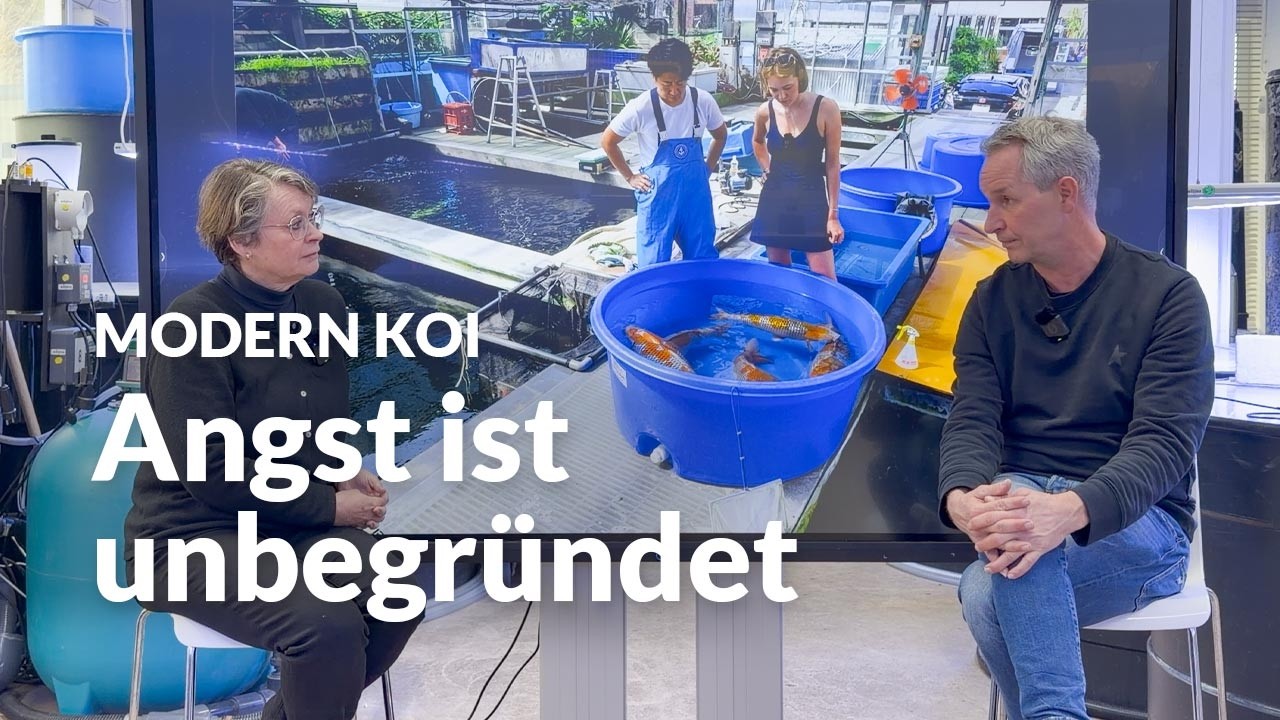 Salz im Koiteich: schadet es wirklich der Nitrifikation? | Modern Koi Blog #7972